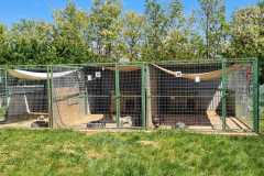 IMG-20250515-WA0015