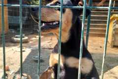 IMG-20250515-WA0016