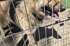 IMG-20250515-WA0017