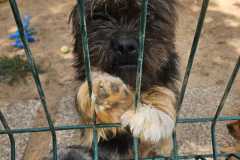 IMG-20250718-WA0022