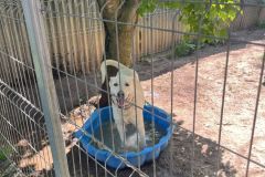 IMG-20250428-WA0036