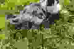 IMG-20250428-WA0038