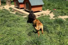 IMG-20250428-WA0040