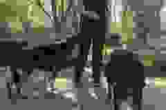 IMG-20250428-WA0041