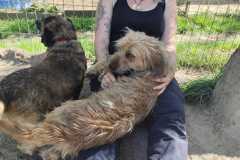 IMG-20250428-WA0042