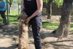IMG-20250428-WA0043