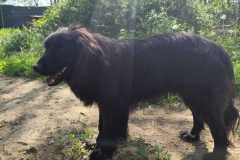 IMG-20250428-WA0044