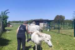 IMG-20250428-WA0045