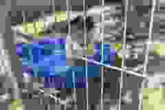 IMG-20250428-WA0046