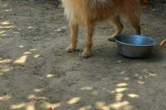IMG-20250824-WA0041