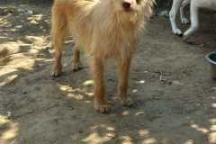 IMG-20250824-WA0042