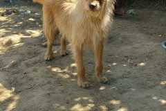 IMG-20250824-WA0043