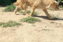 IMG-20250824-WA0045