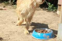 IMG-20250824-WA0047