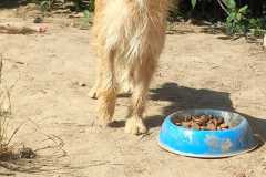 IMG-20250824-WA0048