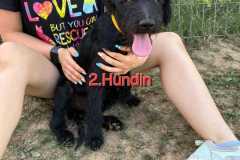 WhatsApp-Bild-2025-07-26-um-13.08.45_99eb669a