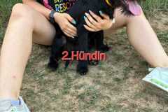 WhatsApp-Bild-2025-07-26-um-13.08.46_efcd2a9d