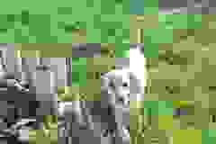 Tina3