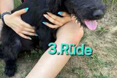 WhatsApp-Bild-2025-07-26-um-13.11.11_8275c4ca
