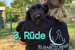 WhatsApp-Bild-2025-07-26-um-13.11.12_29b3fe6d