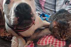 WhatsApp-Bild-2025-05-17-um-12.43.36_caa12db7