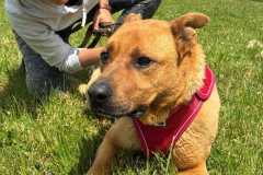 IMG-20250616-WA0011