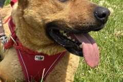 IMG-20250616-WA0012