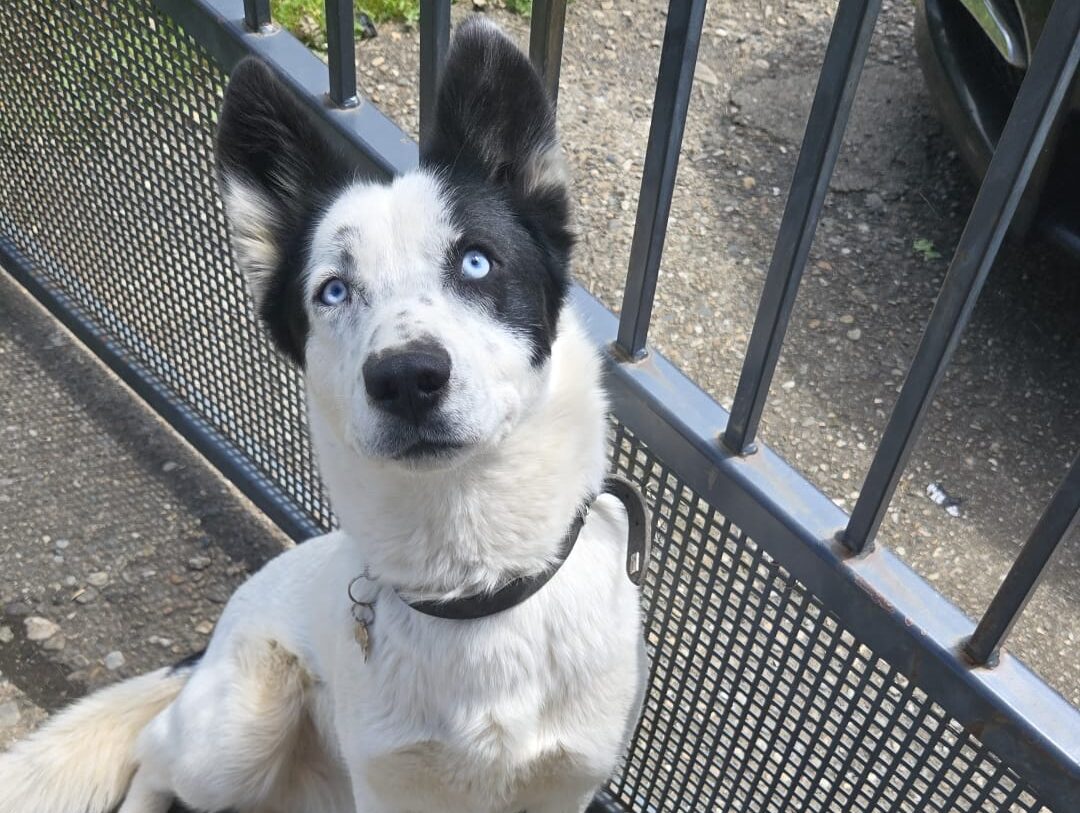 Zeus