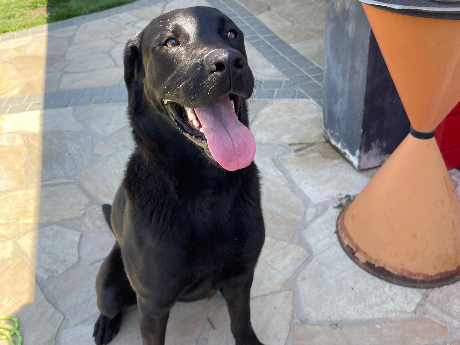 Paco